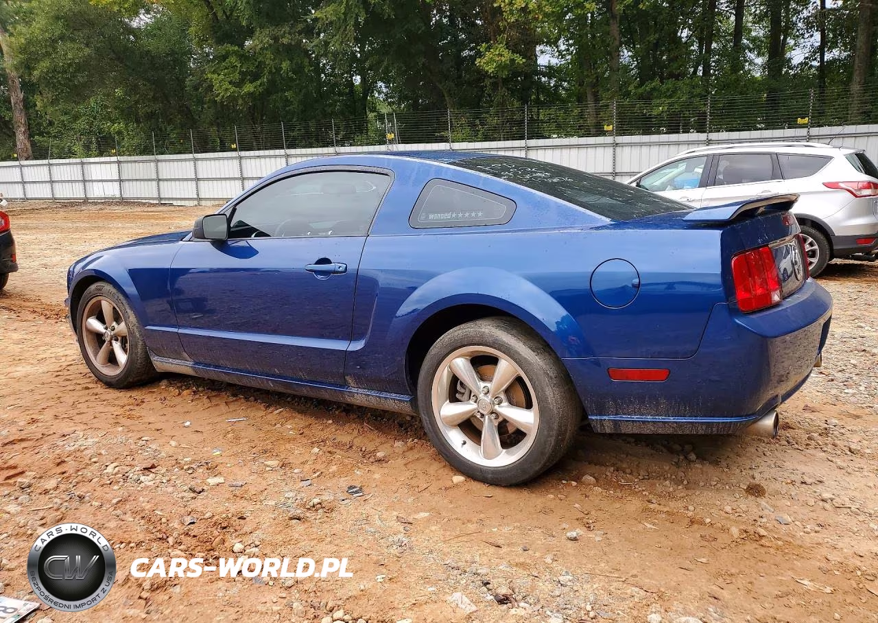 2009 Ford Mustang Gt VIN:1ZVHT82H495138276 - 2