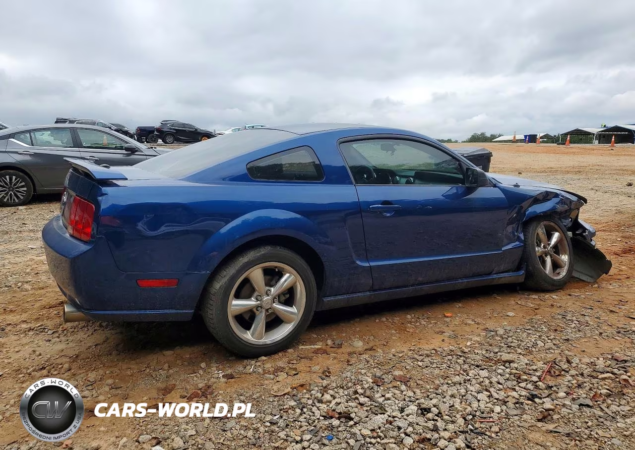 2009 Ford Mustang Gt VIN:1ZVHT82H495138276 - 3