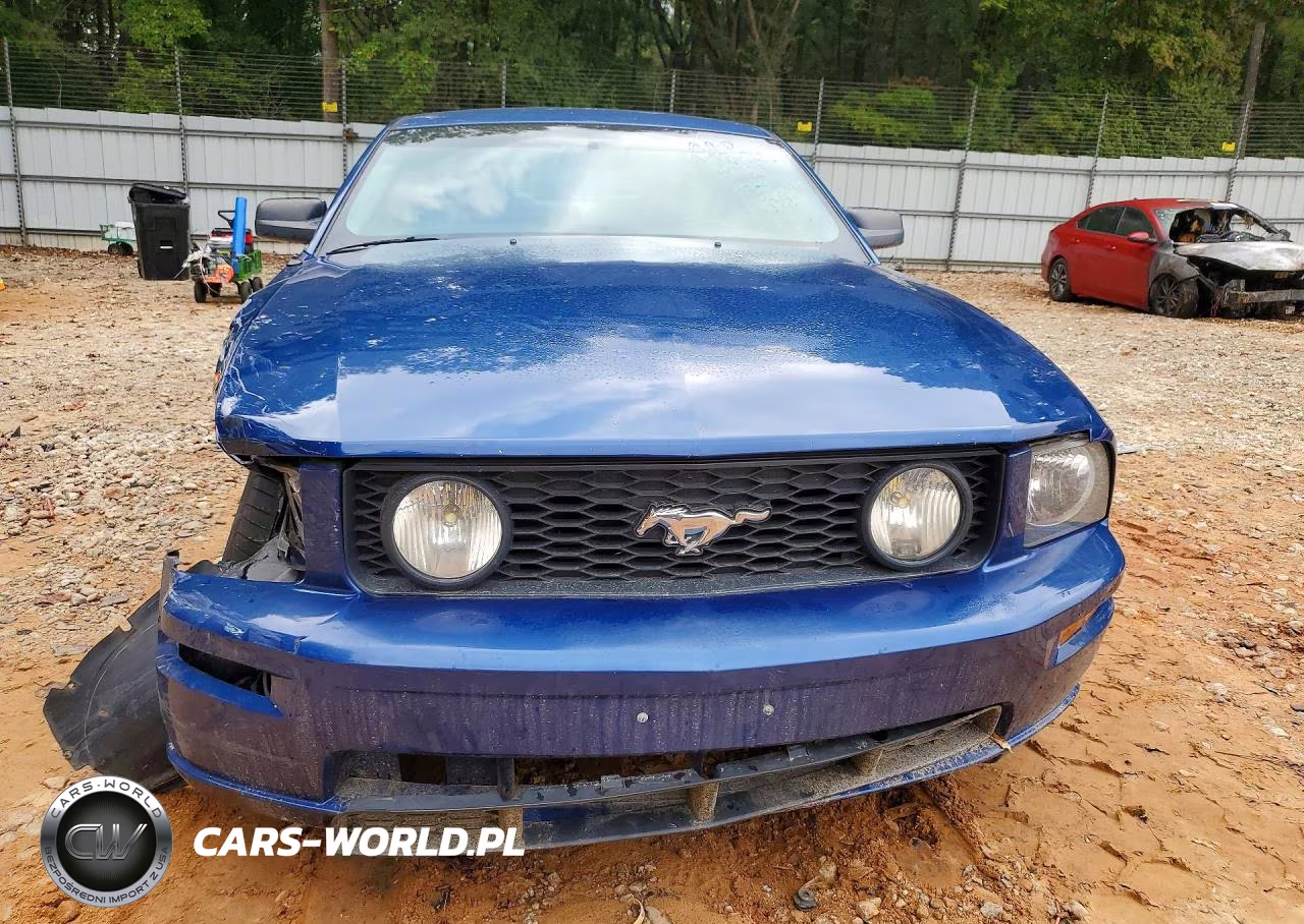 2009 Ford Mustang Gt VIN:1ZVHT82H495138276 - 5