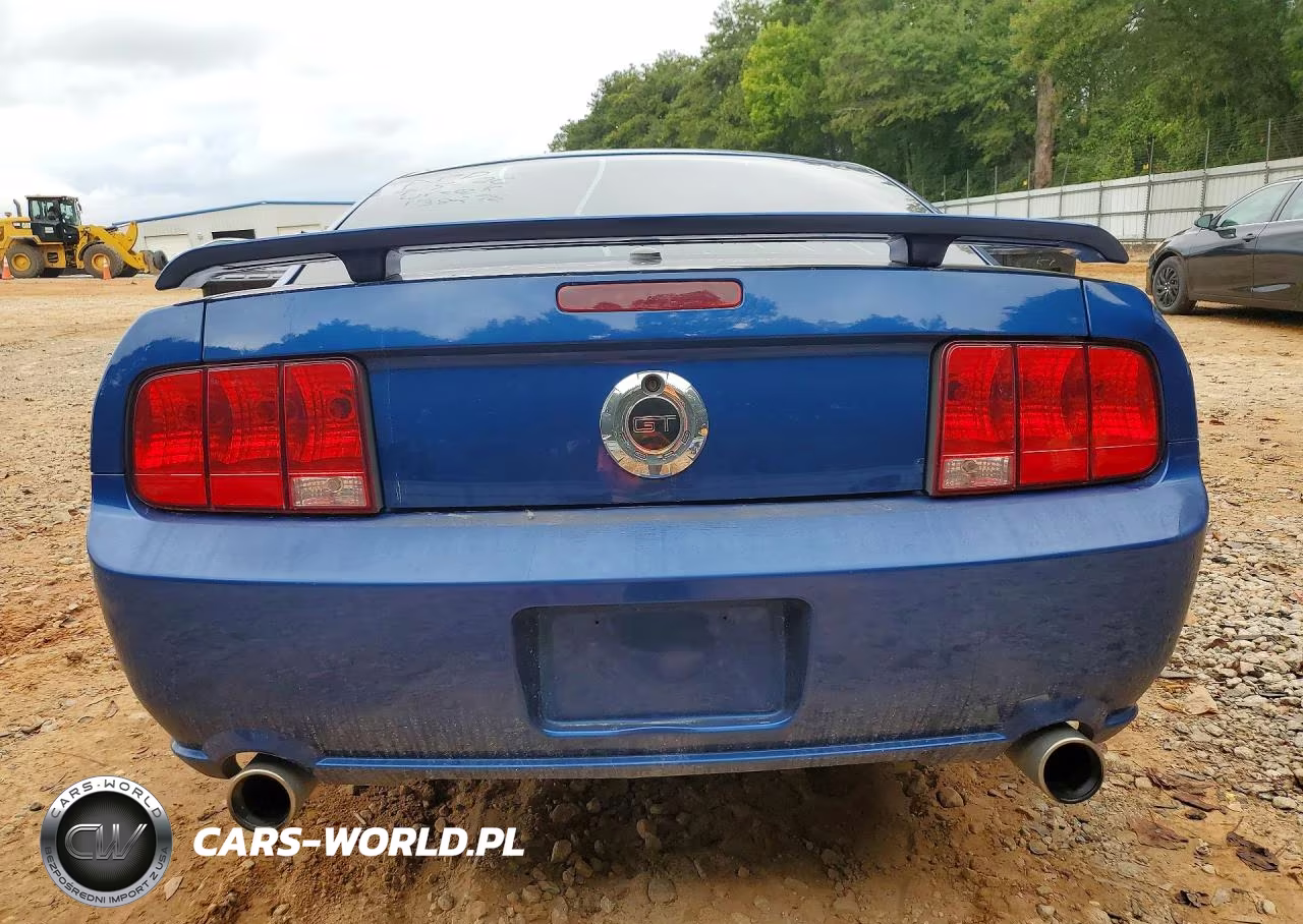 2009 Ford Mustang Gt VIN:1ZVHT82H495138276 - 6