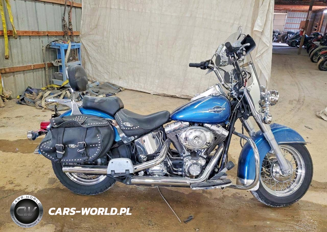 2005 Harley-Davidson Flstci