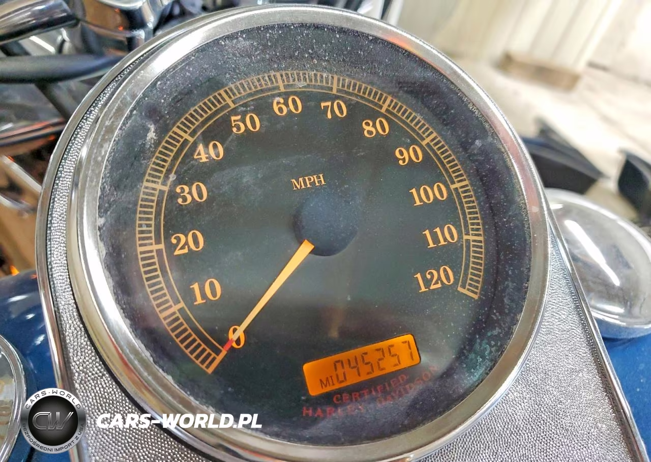 2005 Harley-Davidson Flstci VIN:1HD1BWB115Y063302 - 7