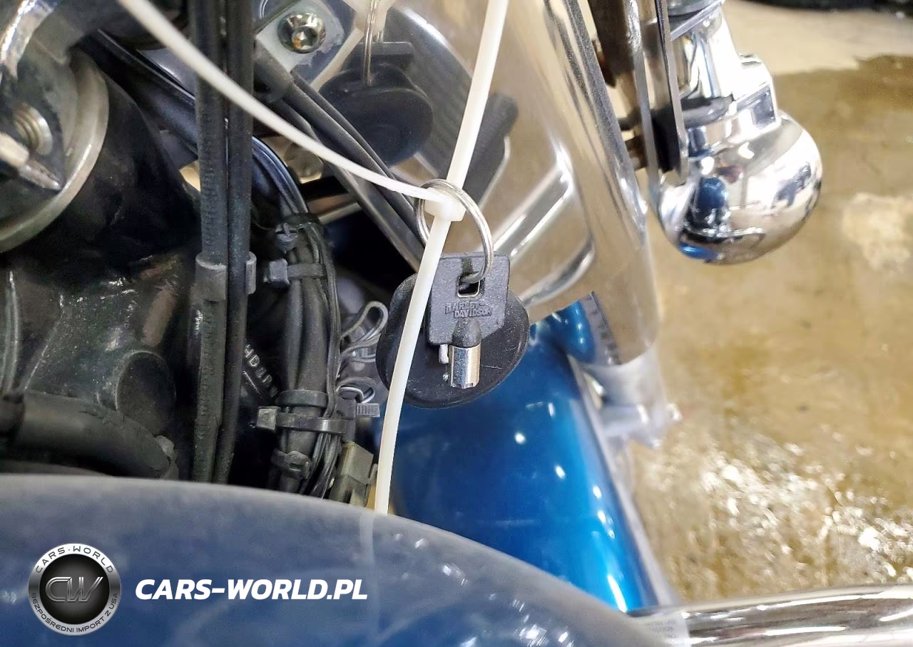 2005 Harley-Davidson Flstci VIN:1HD1BWB115Y063302 - 8