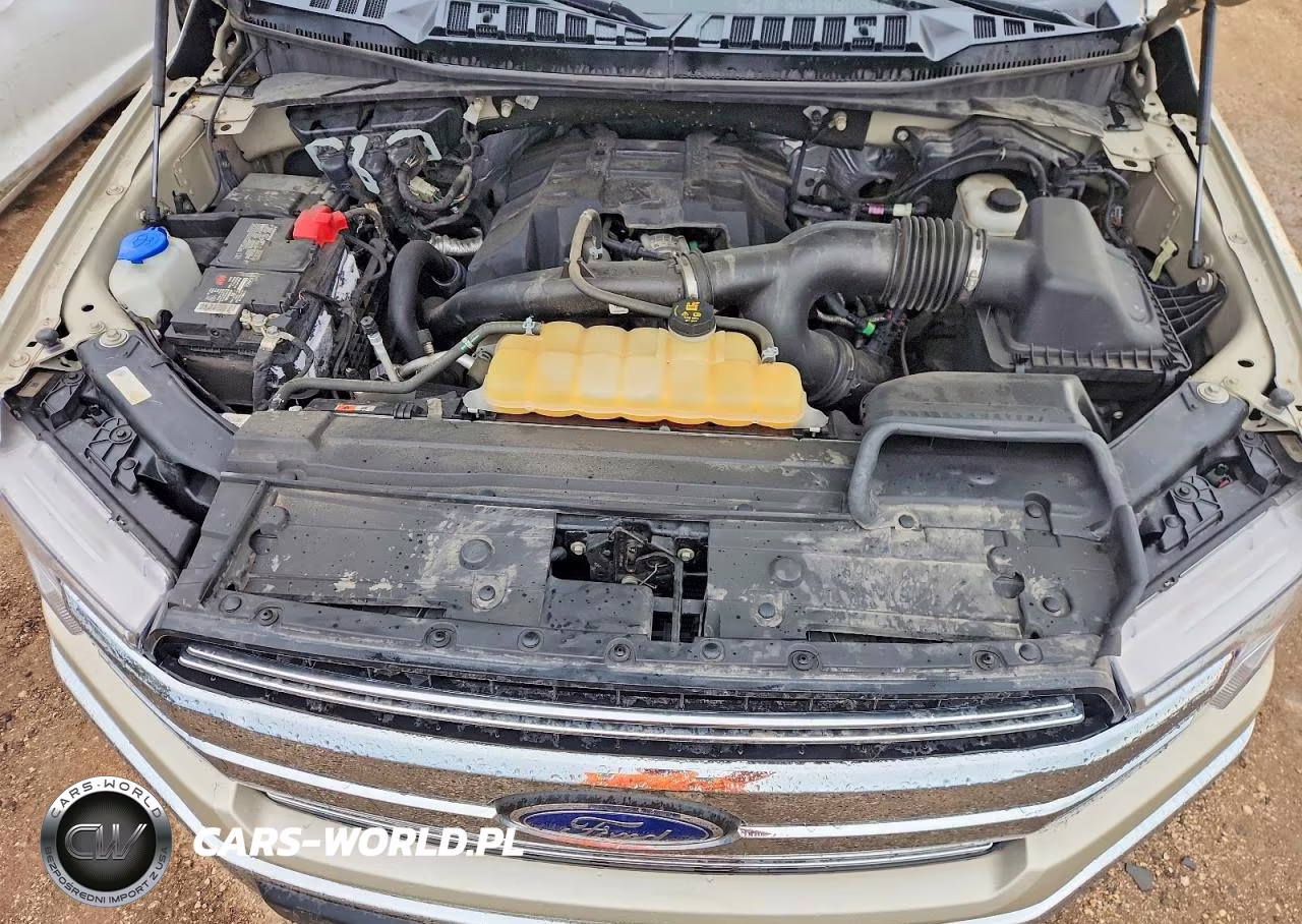 2018 Ford F150 Supercrew VIN:1FTEW1EP1JFD37968 - 11