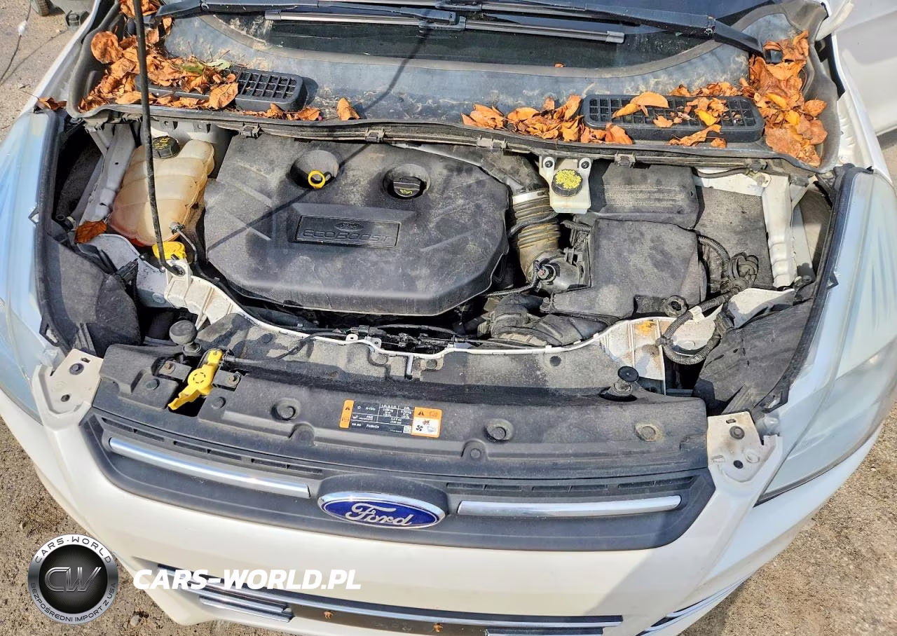 2015 Ford Escape Se VIN:1FMCU9G95FUB06953 - 12
