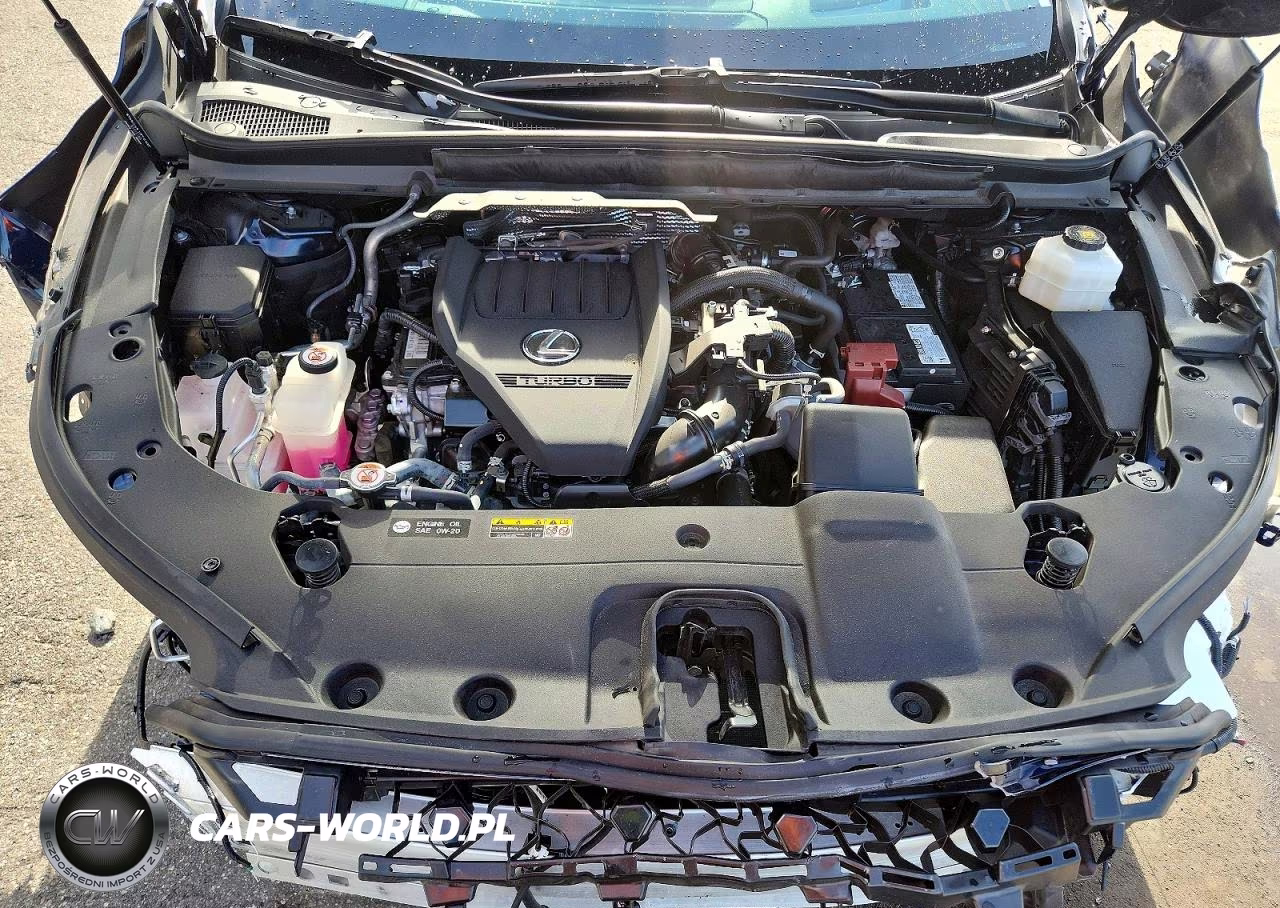 2024 Lexus Rx 350 Premium+ VIN:2T2BAMCA4RC082959 - 12