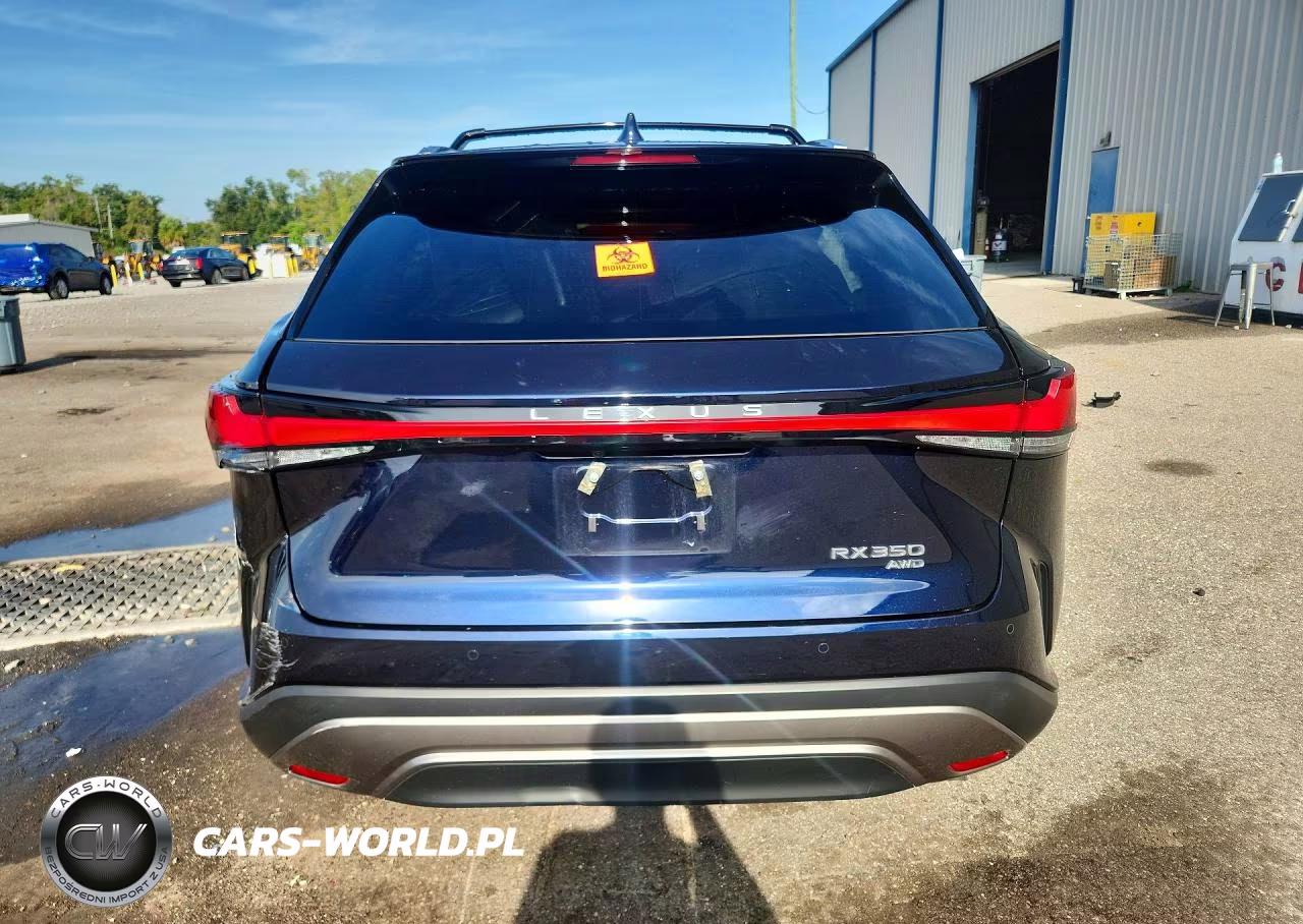 2024 Lexus Rx 350 Premium+ VIN:2T2BAMCA4RC082959 - 6