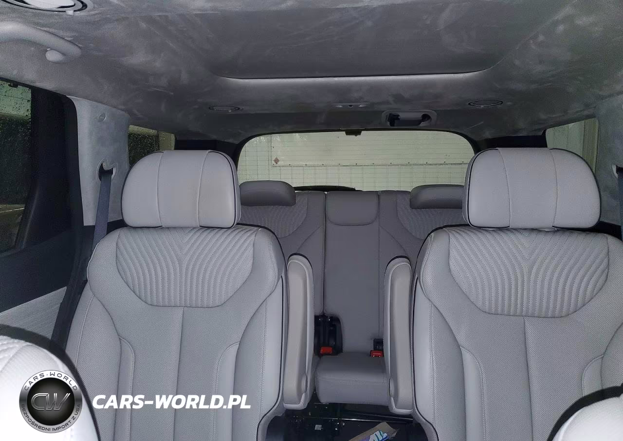 2024 Hyundai Palisade Calligraphy VIN:KM8R7DGE5RU727292 - 10