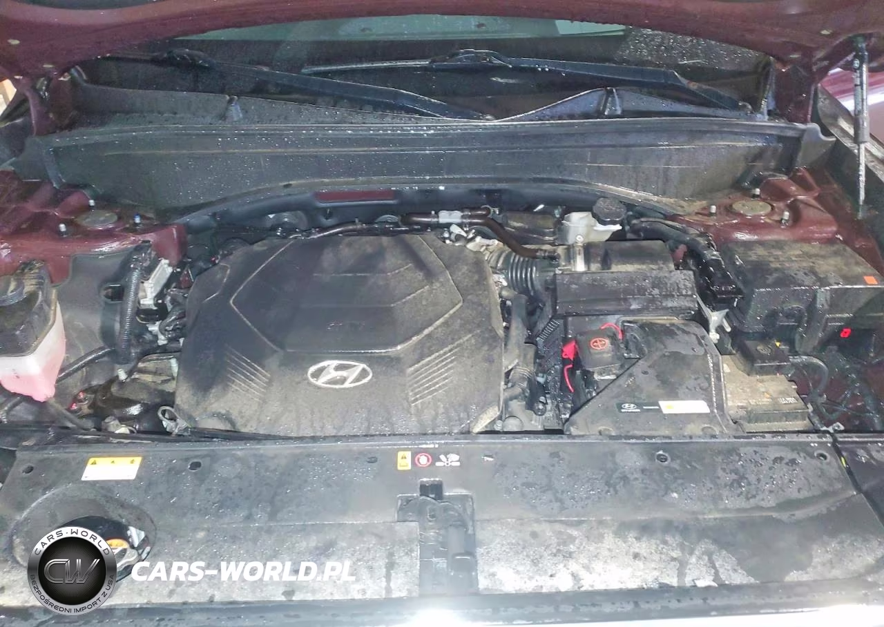 2024 Hyundai Palisade Calligraphy VIN:KM8R7DGE5RU727292 - 12
