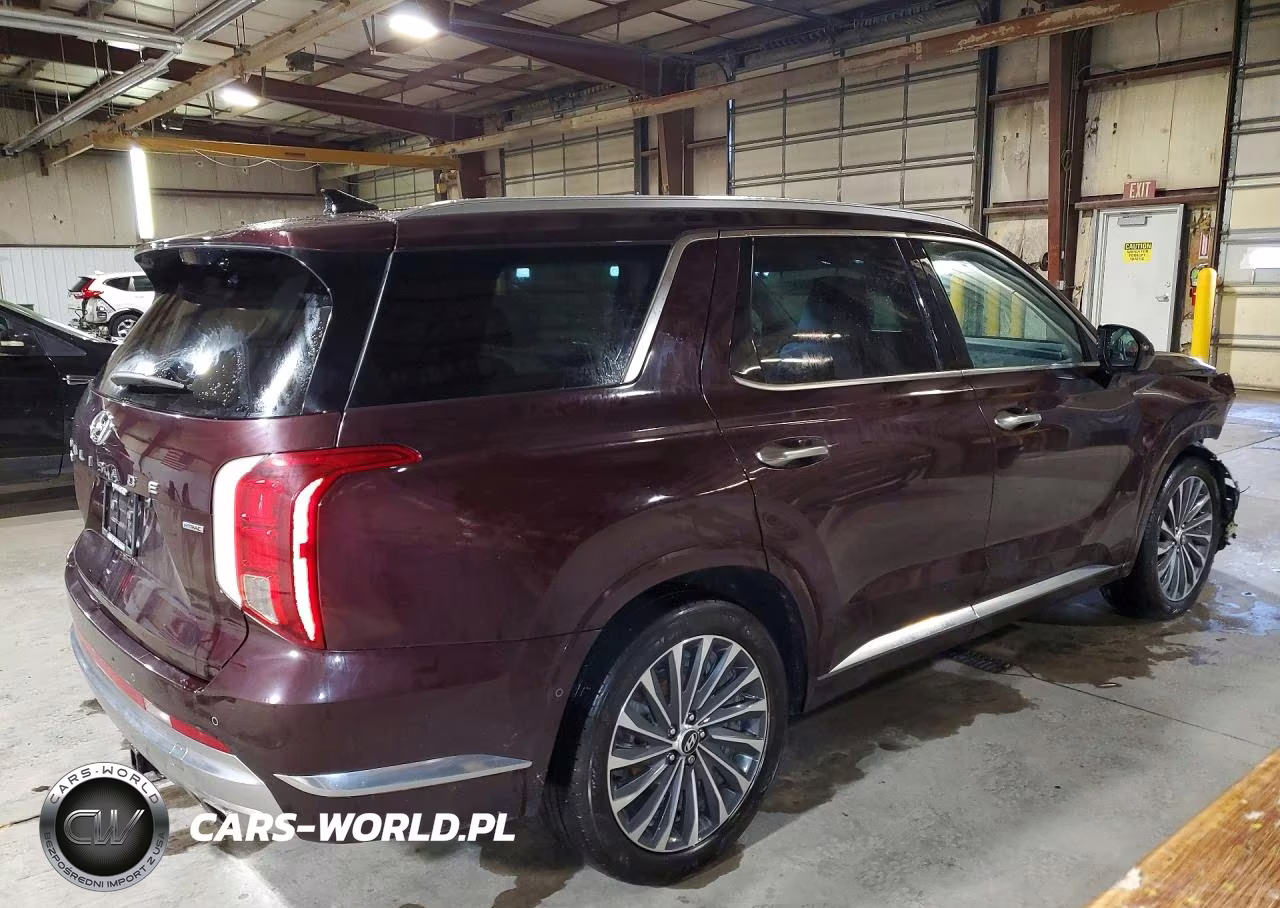 2024 Hyundai Palisade Calligraphy VIN:KM8R7DGE5RU727292 - 3