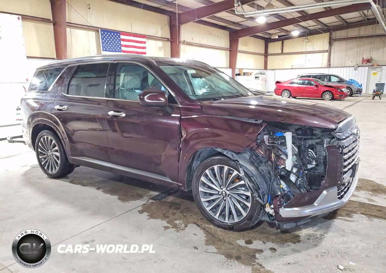 2024 Hyundai Palisade Calligraphy VIN:KM8R7DGE5RU727292 - 4