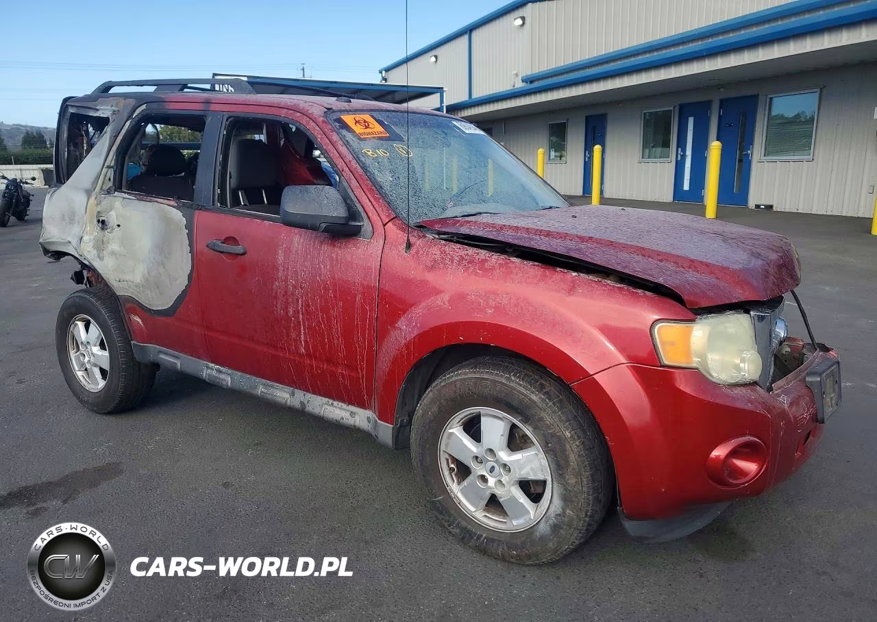2009 Ford Escape Xlt VIN:1FMCU93G29KA82289 - 4