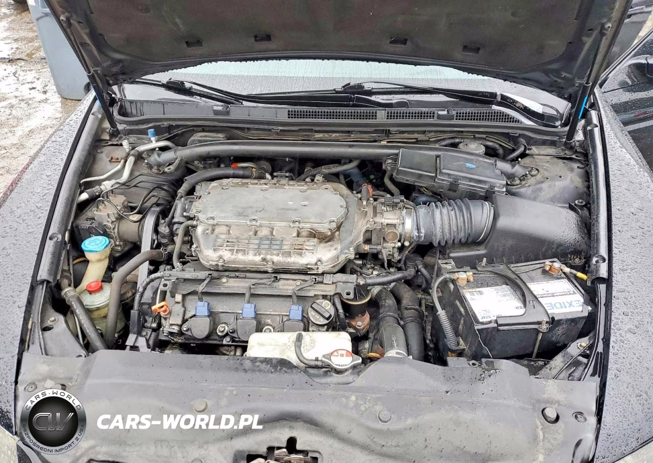 2008 Acura Tl VIN:19UUA66298A051160 - 11