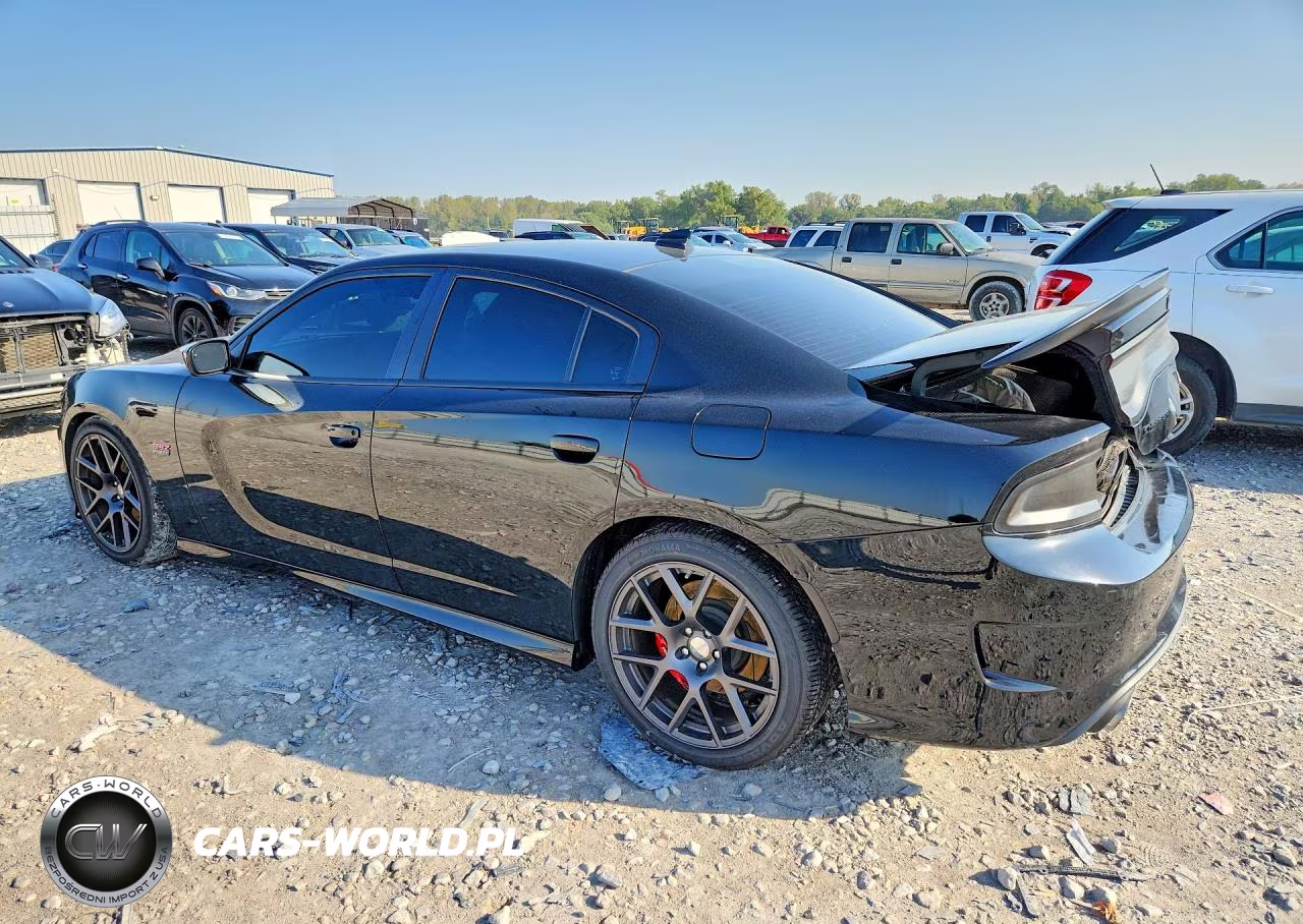 2016 Dodge Charger R-T Scat Pack VIN:2C3CDXGJ8GH339737 - 2