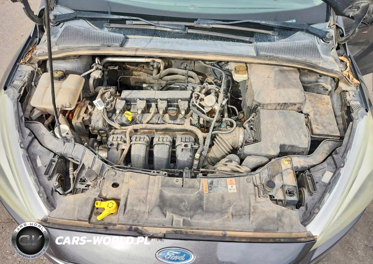 2017 Ford Focus Se VIN:1FADP3F28HL204603 - 11