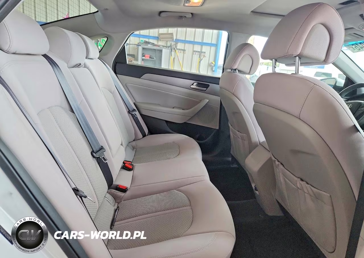 2015 Hyundai Sonata Se VIN:5NPE24AF6FH250817 - 10