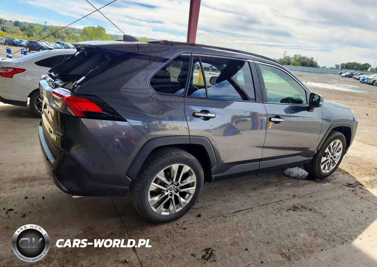 2019 Toyota Rav4 Limited VIN:JTMN1RFVXKD516095 - 3