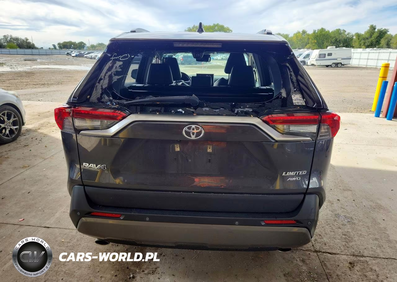 2019 Toyota Rav4 Limited VIN:JTMN1RFVXKD516095 - 6