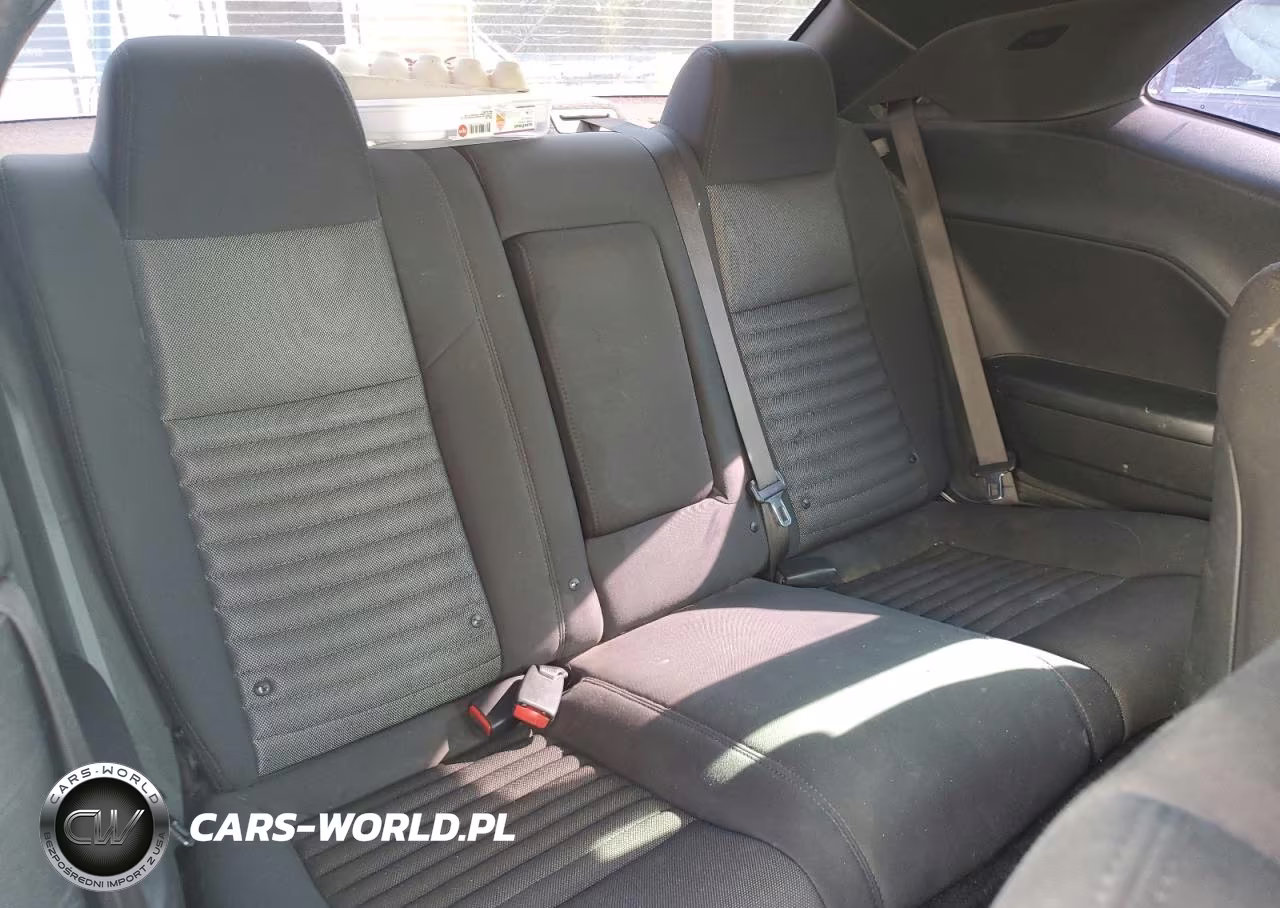 2013 Dodge Challenger Sxt VIN:2C3CDYAG1DH607252 - 10
