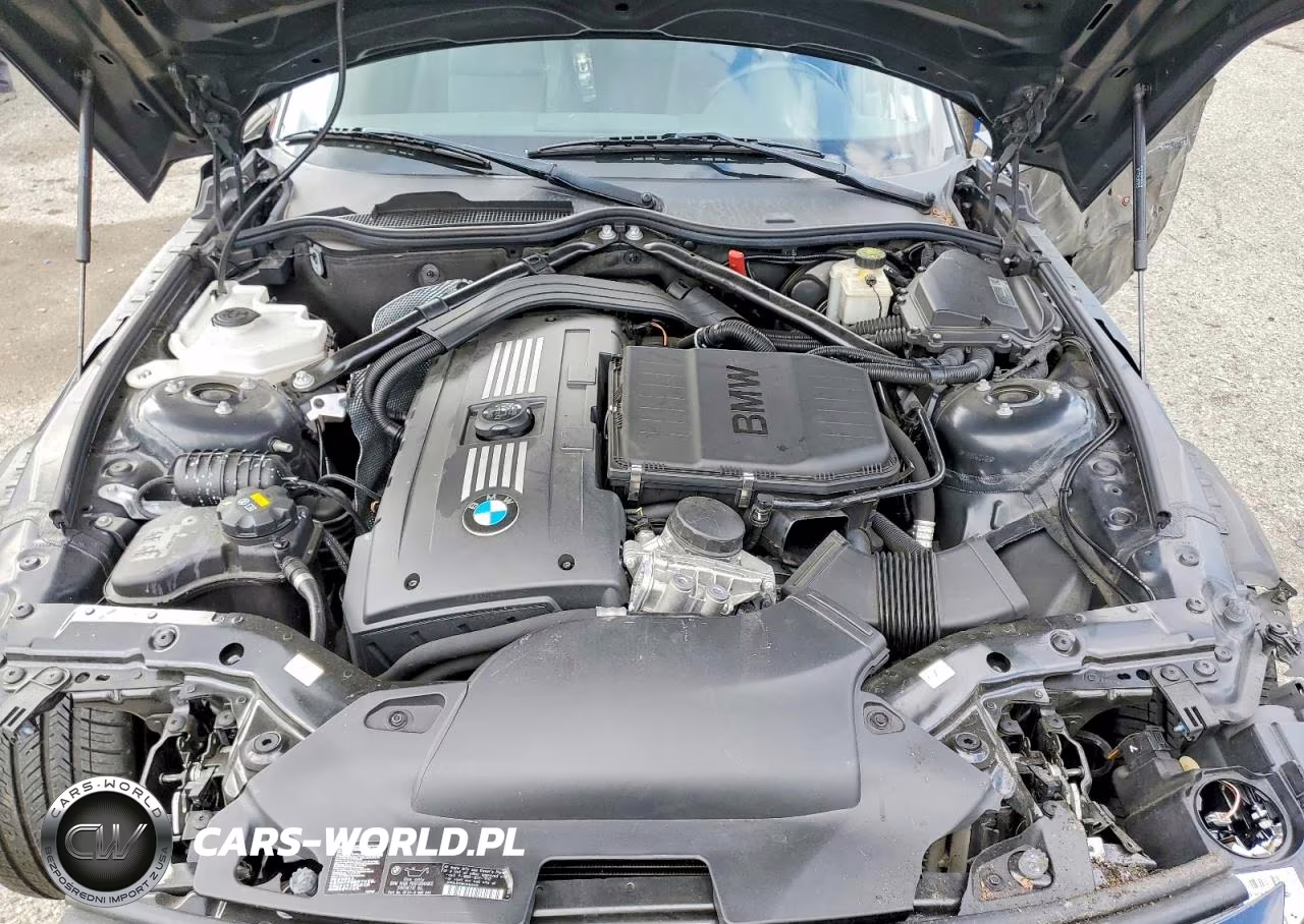 2013 BMW Z4 Sdrive35Is VIN:WBALM1C5XDE633870 - 11