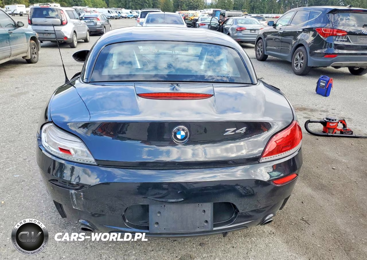 2013 BMW Z4 Sdrive35Is VIN:WBALM1C5XDE633870 - 6