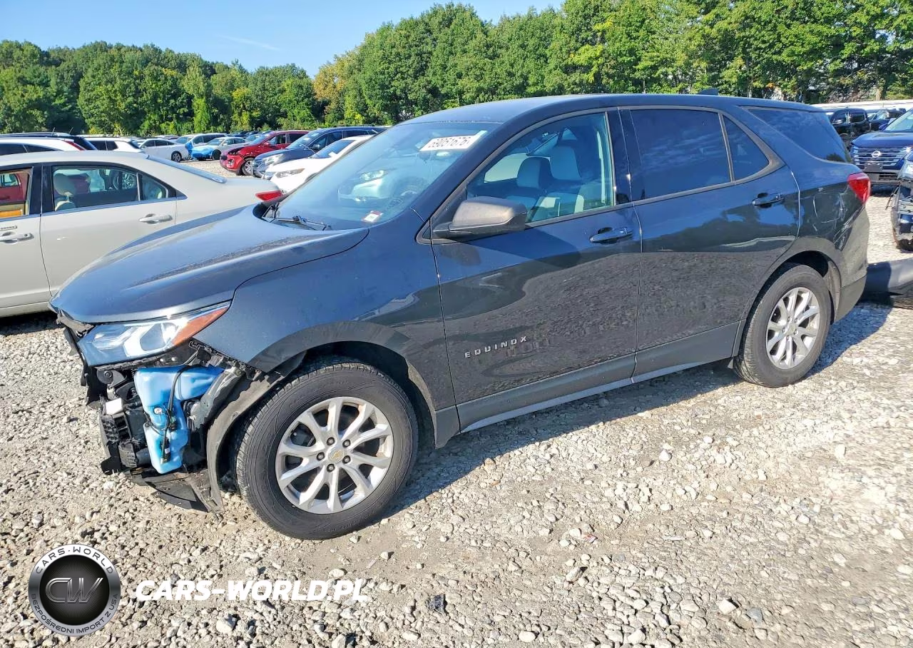 2019 Chevrolet Equinox Ls VIN:2GNAXSEV5K6266213 - 1