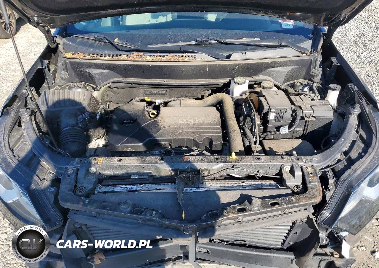 2019 Chevrolet Equinox Ls VIN:2GNAXSEV5K6266213 - 12