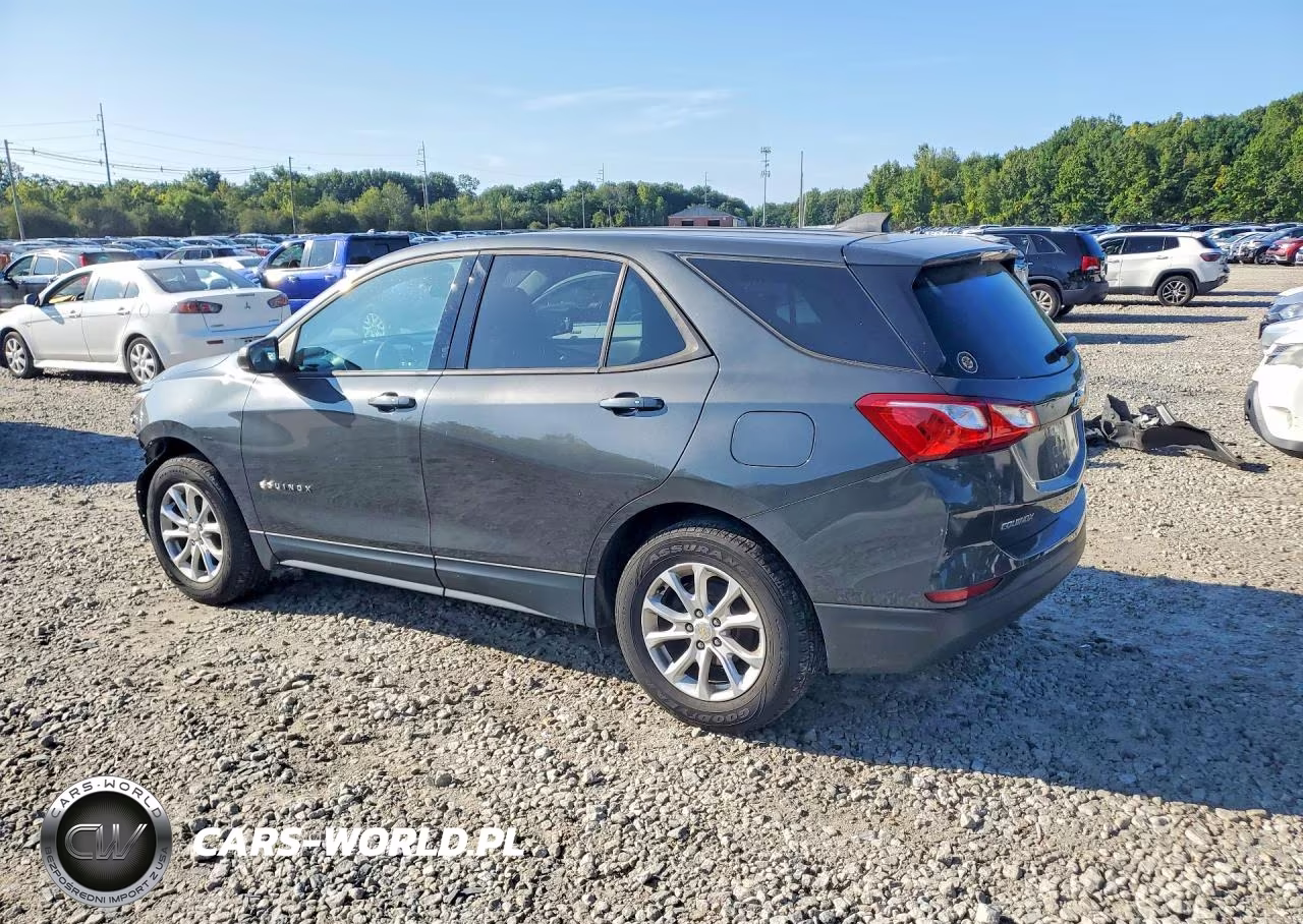 2019 Chevrolet Equinox Ls VIN:2GNAXSEV5K6266213 - 2