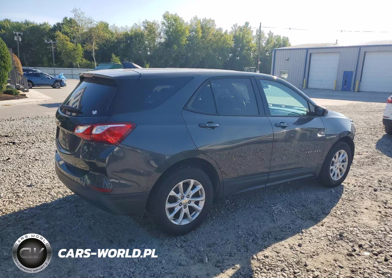 2019 Chevrolet Equinox Ls VIN:2GNAXSEV5K6266213 - 3