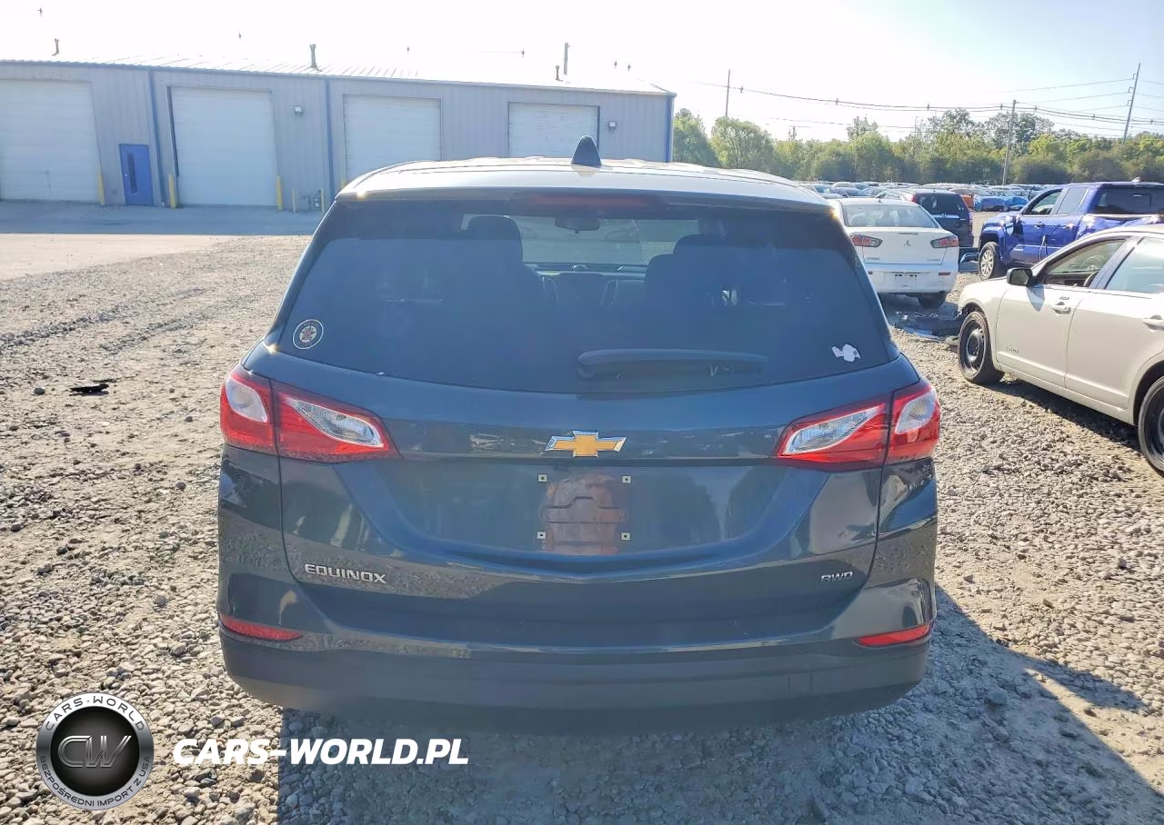 2019 Chevrolet Equinox Ls VIN:2GNAXSEV5K6266213 - 6