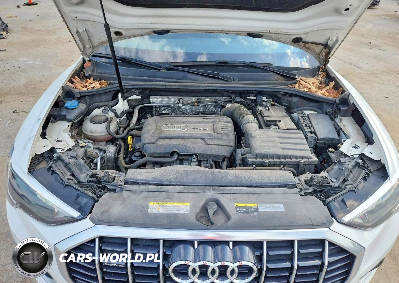 2019 Audi Q3 Premium VIN:WA1AECF37K1079425 - 11