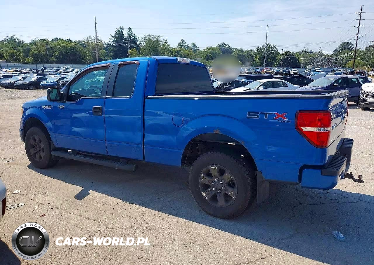 2013 Ford F150 VIN:1FTFX1EF7DFD60815 - 2