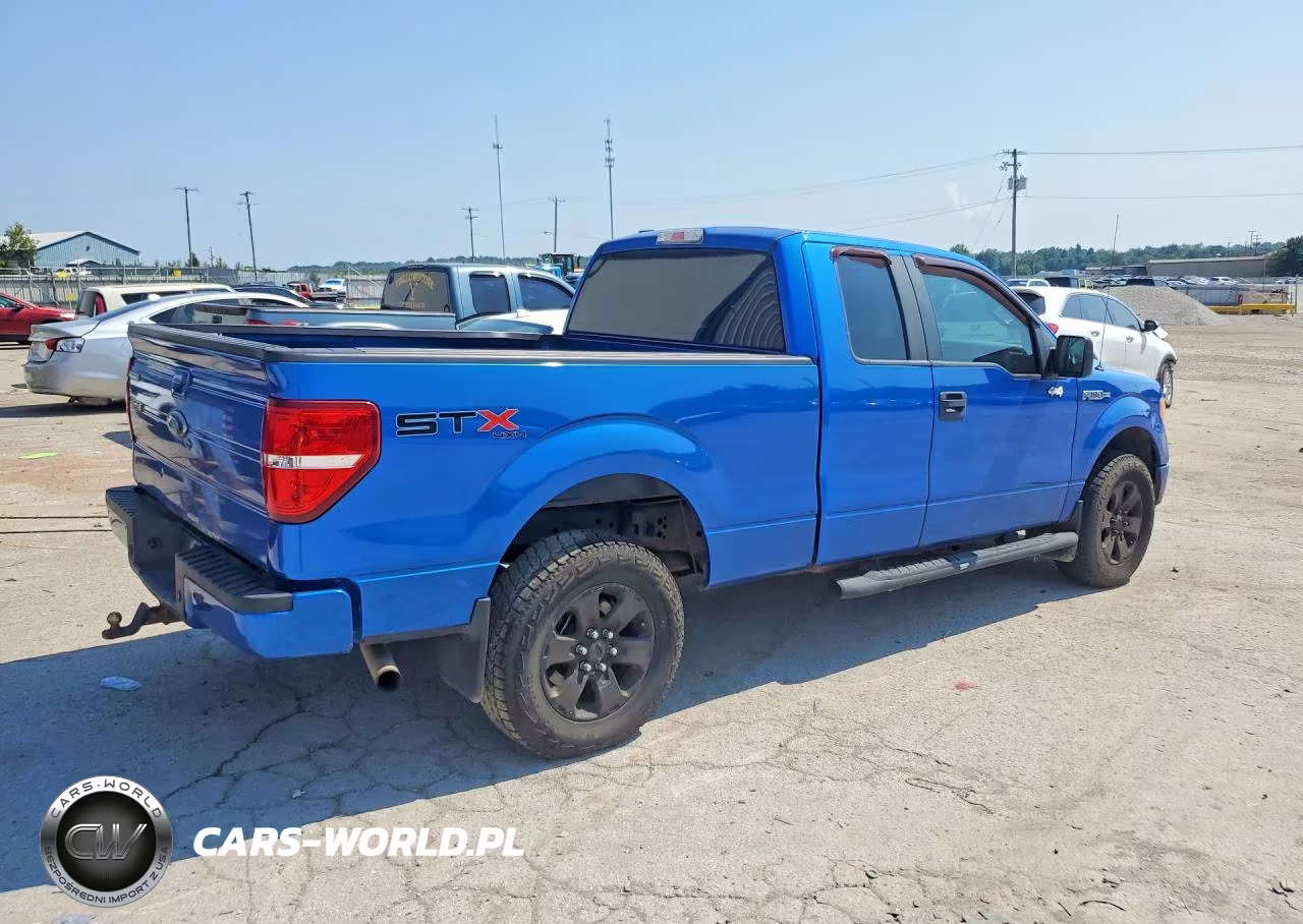 2013 Ford F150 VIN:1FTFX1EF7DFD60815 - 3