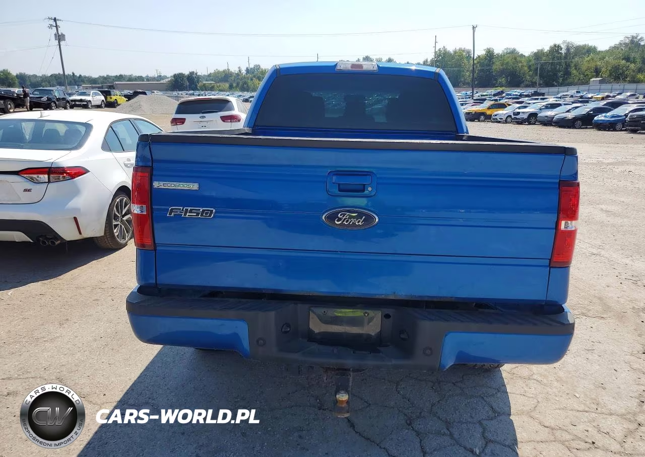 2013 Ford F150 VIN:1FTFX1EF7DFD60815 - 6