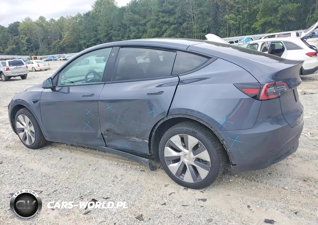 2022 Tesla Model Y VIN:7SAYGDEE1NA005548 - 2