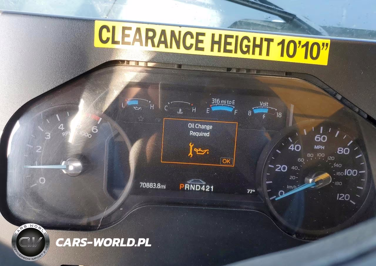 2020 Ford F59 Delivery Van VIN:1F65F5KN7L0A08520 - 9