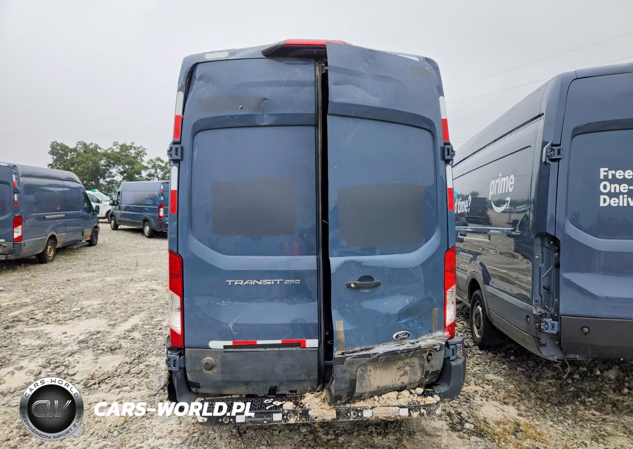 2020 Ford Transit 250 Delivery Van VIN:1FTBR3X80LKA72613 - 6