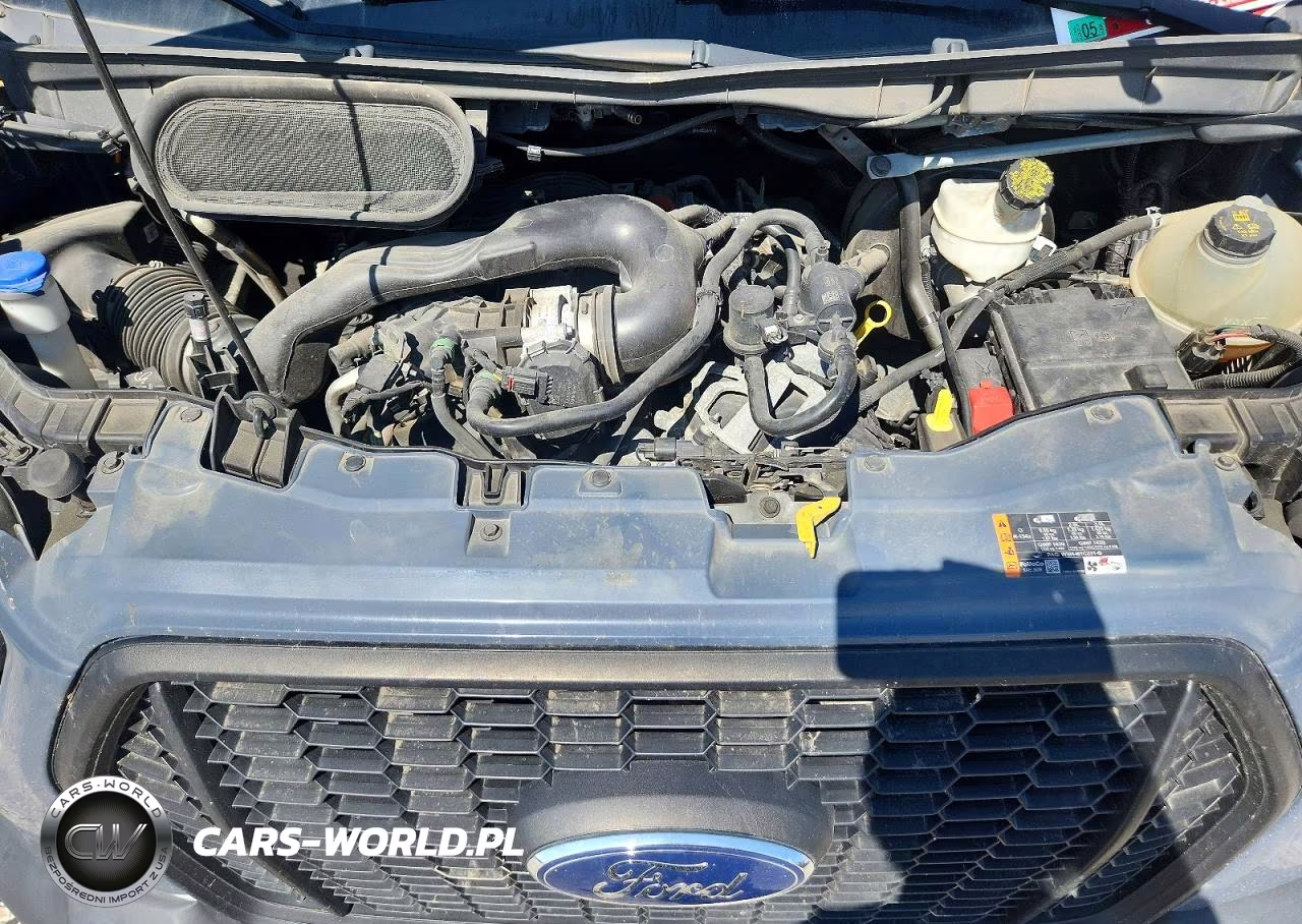 2021 Ford Transit Delivery Truck VIN:1FDDF6P80MKA97544 - 12