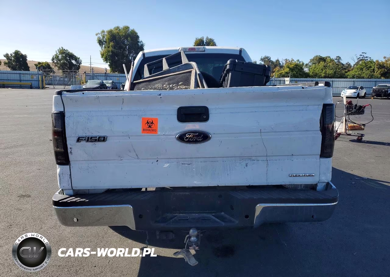 2013 Ford F150 VIN:1FTMF1CM0DFB83665 - 6