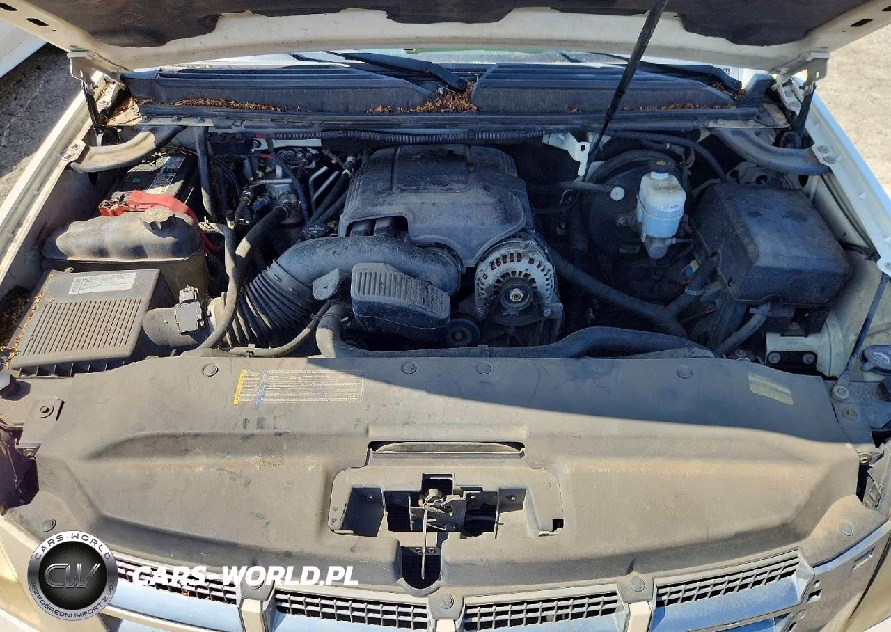 2009 Cadillac Escalade Luxury VIN:1GYFK23229R215931 - 12