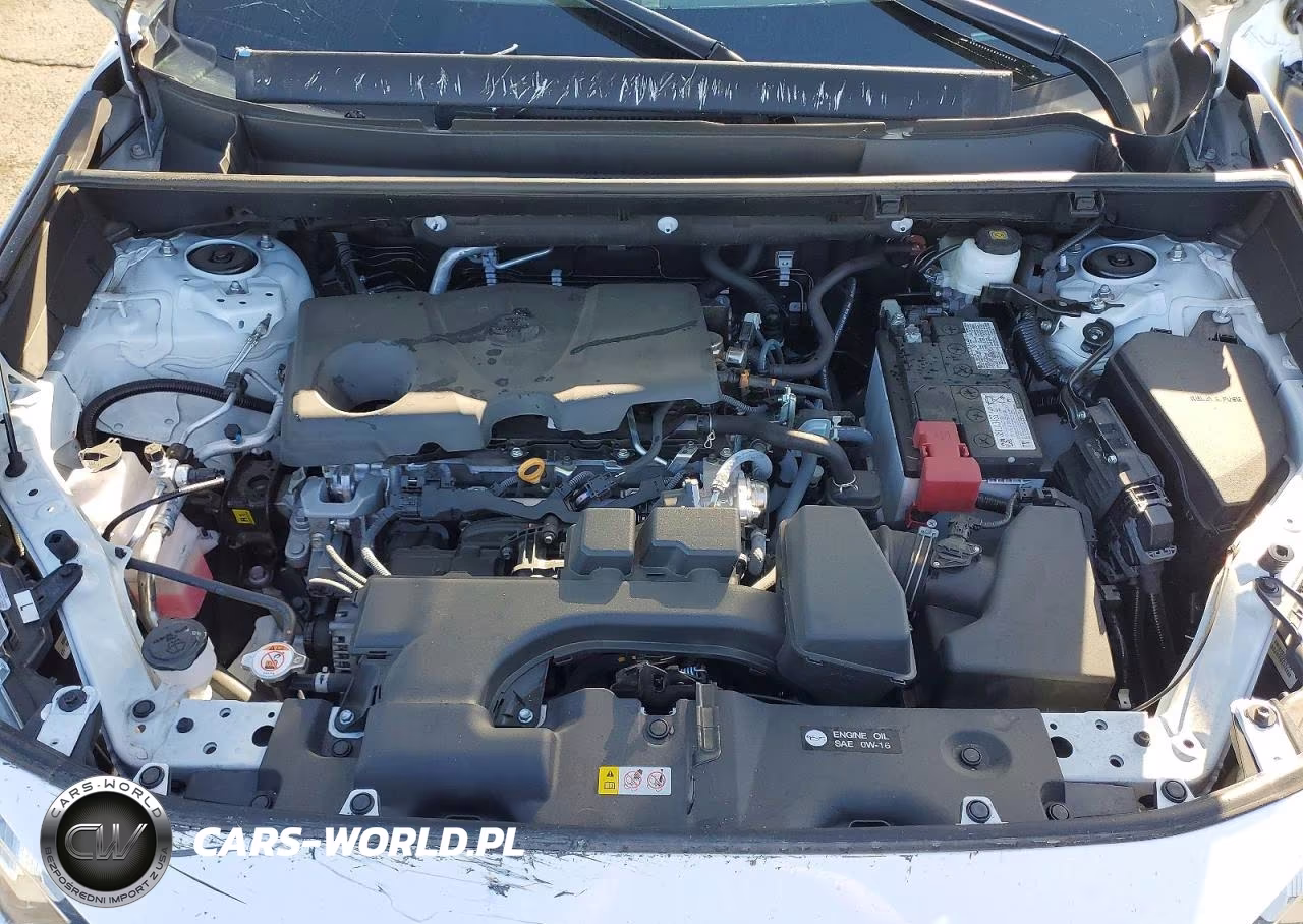 2025 Toyota Rav4 Xle VIN:2T3P1RFV8SW605689 - 12