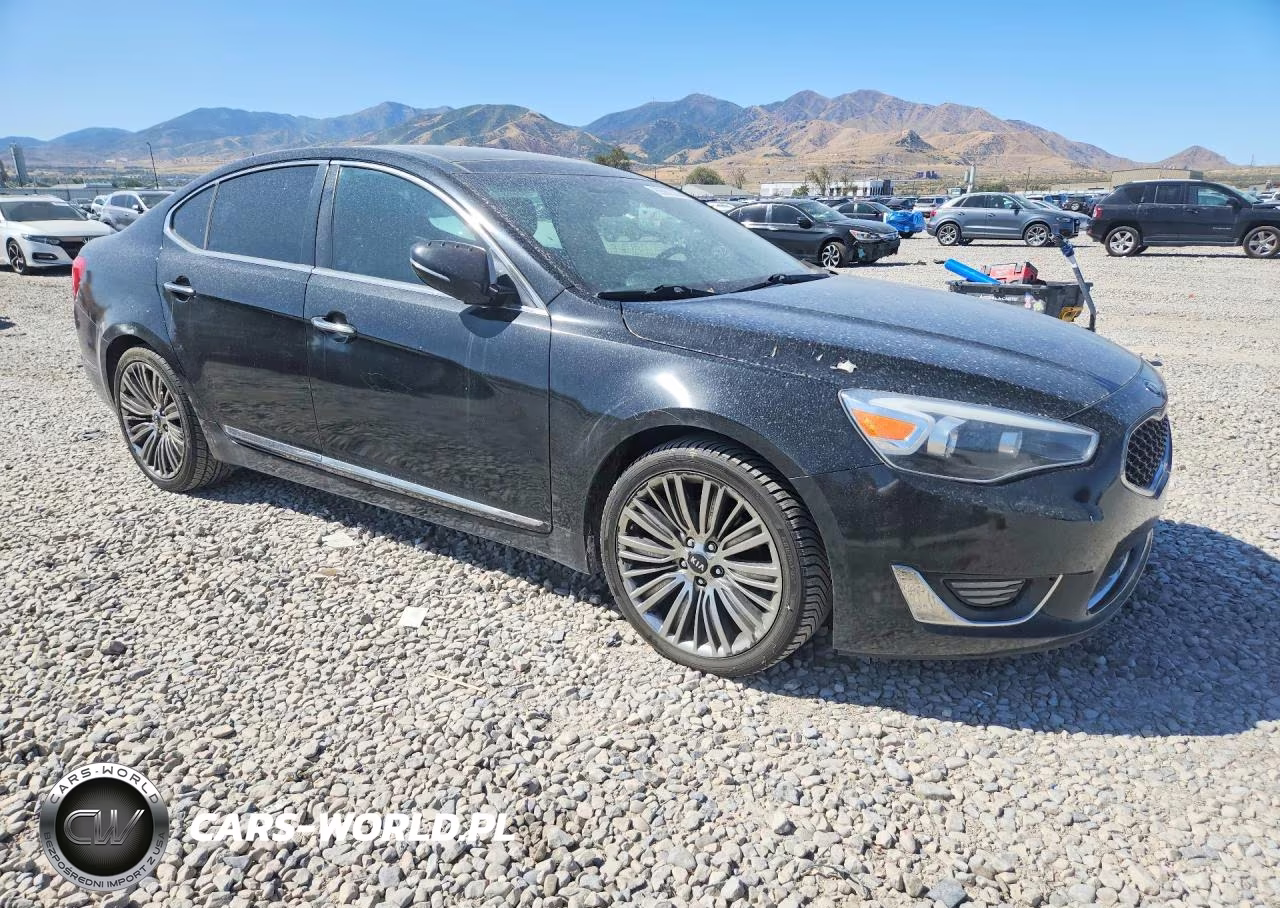 2014 Kia Cadenza Limited VIN:KNALN4D79E5149236 - 4