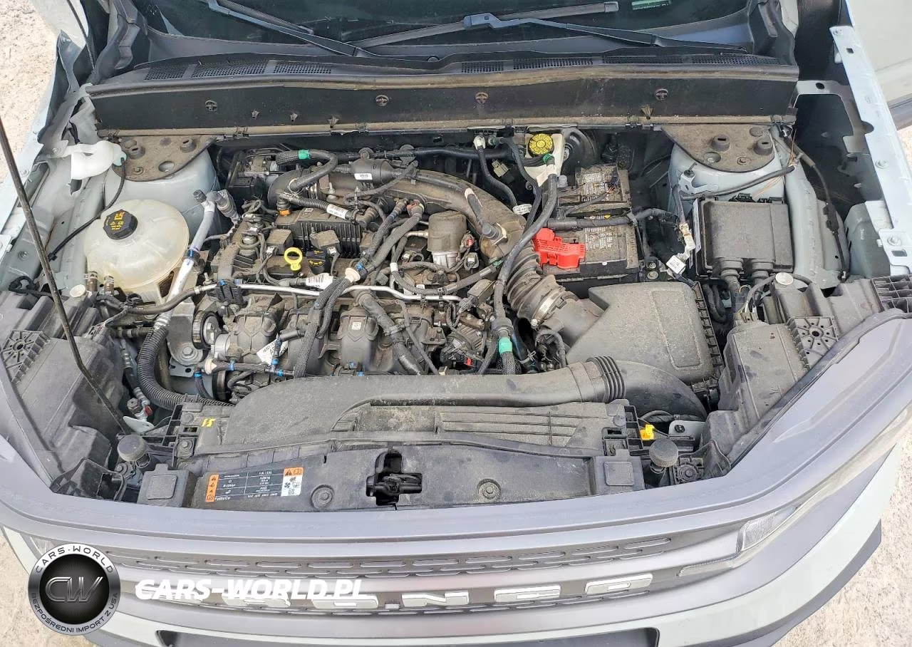 2023 Ford Bronco Sport Badlands VIN:3FMCR9D90PRE28169 - 12