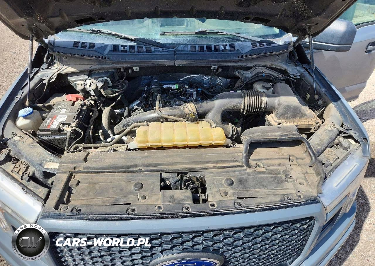 2019 Ford F150 Supercrew VIN:1FTEW1EP5KKE81161 - 11