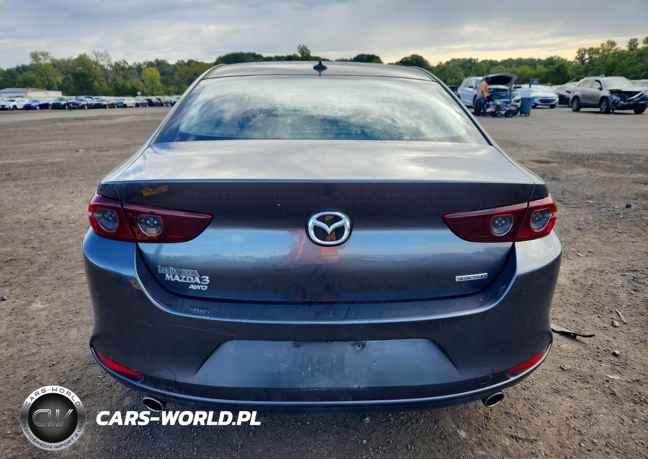 2019 Mazda 3 Preferred Plus VIN:JM1BPBCM3K1113954 - 6