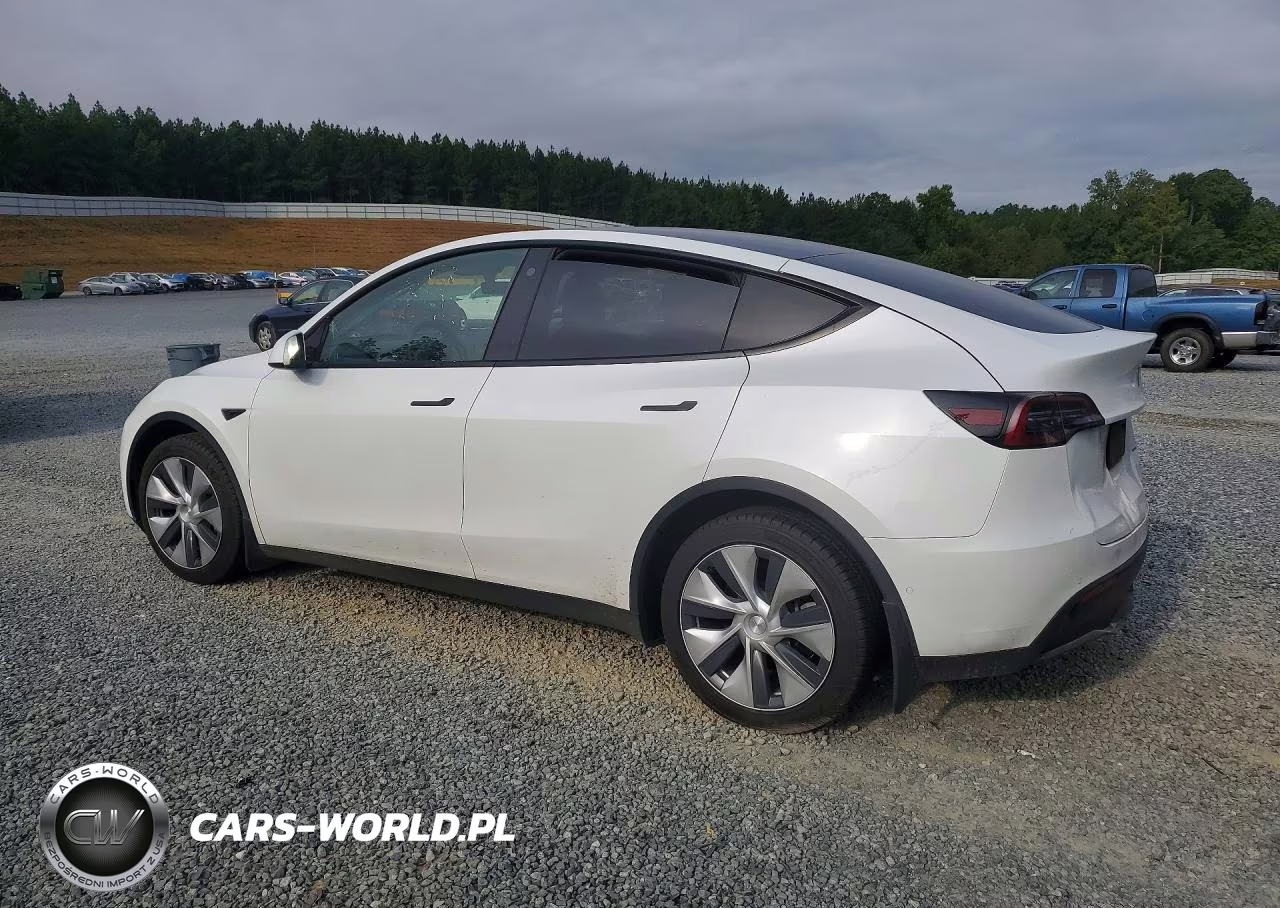 2022 Tesla Model Y VIN:7SAYGDEE3NF421975 - 2
