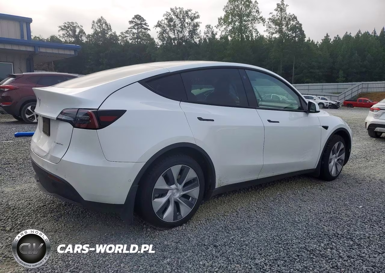 2022 Tesla Model Y VIN:7SAYGDEE3NF421975 - 3