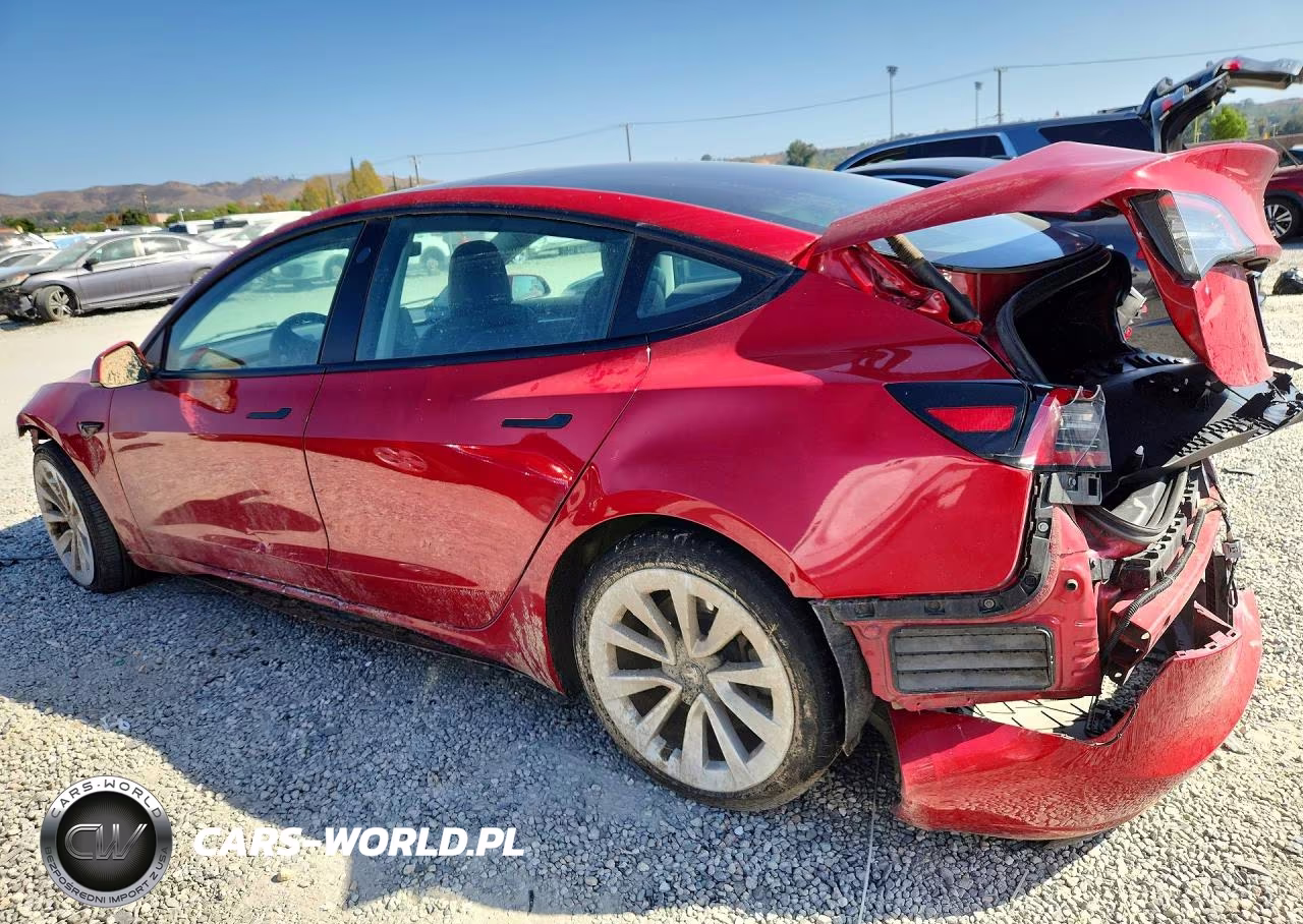 2023 Tesla Model 3 VIN:5YJ3E1EAXPF433469 - 2