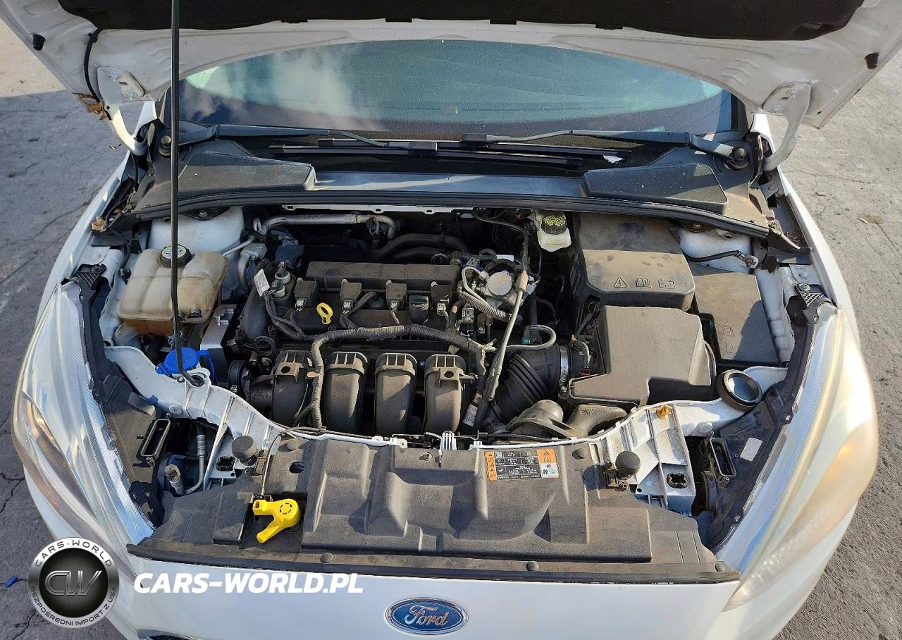 2017 Ford Focus Se VIN:1FADP3F28HL224964 - 11