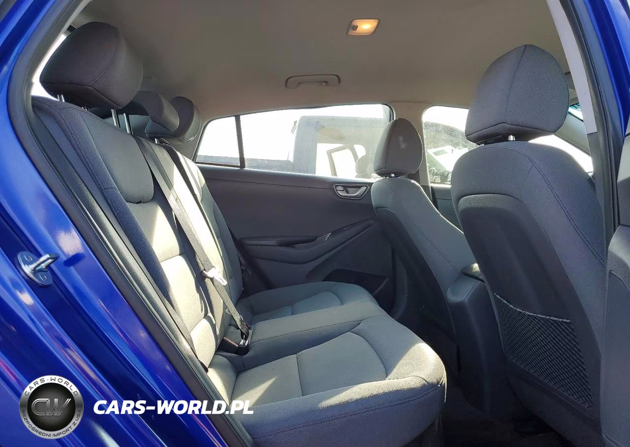 2020 Hyundai Ioniq Blue VIN:KMHC65LC2LU239301 - 10